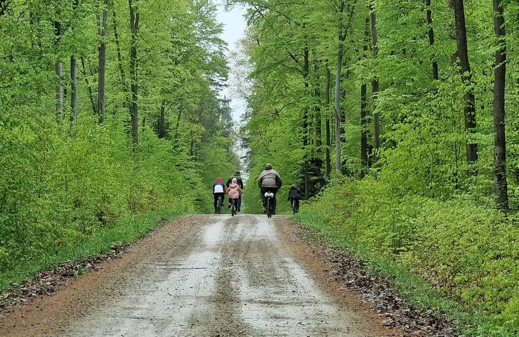 noclegi AlohaCamp Budy las i relaks 1