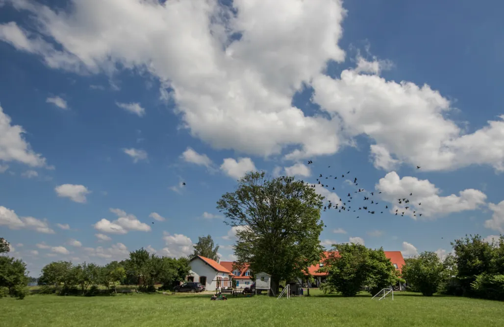 Dom pod skrzydłami  AlohaCamp