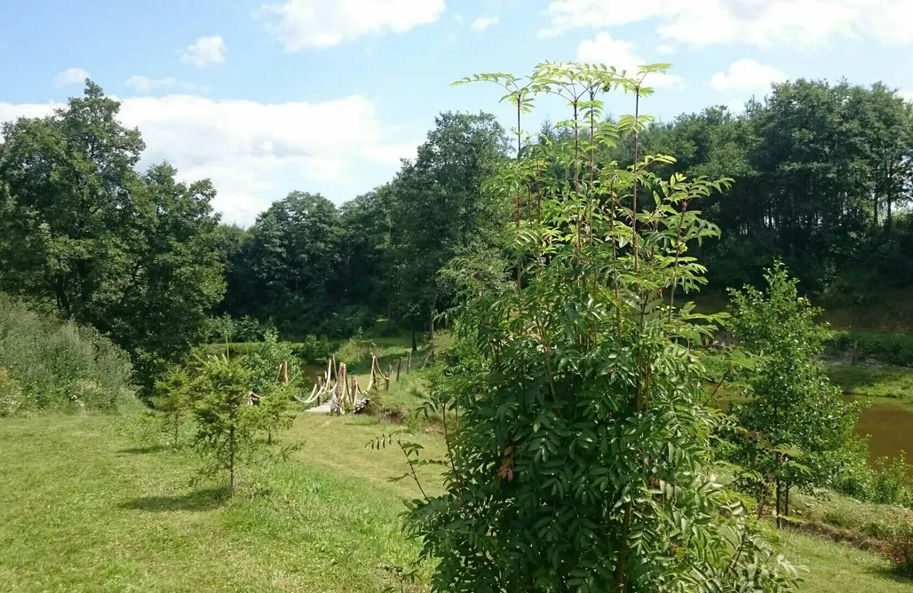noclegi AlohaCamp Miejsce kamperowo-namiotowe Agroturystyka Karczma nad Jarem   1