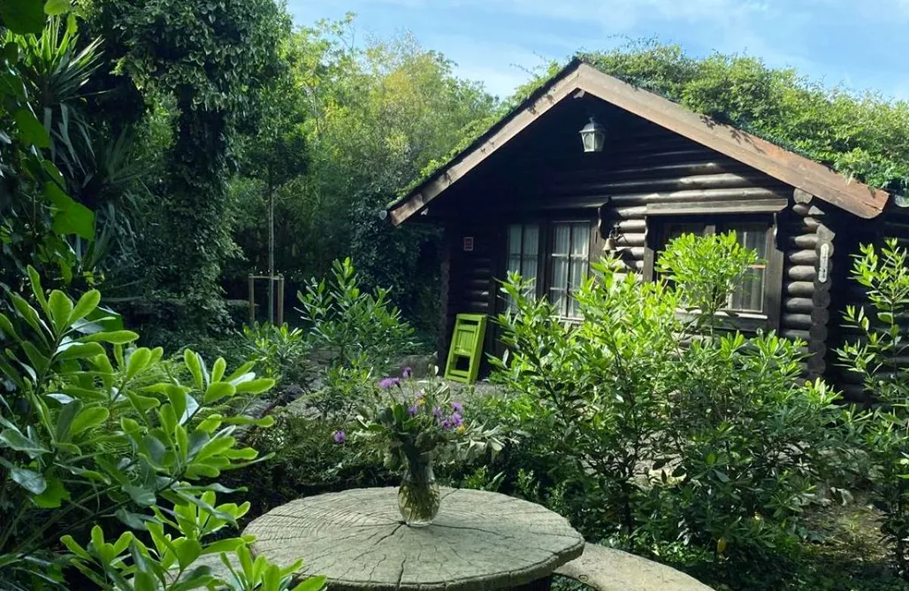 Cabaña de ensueño en el bosque y junto al mar AlohaCamp