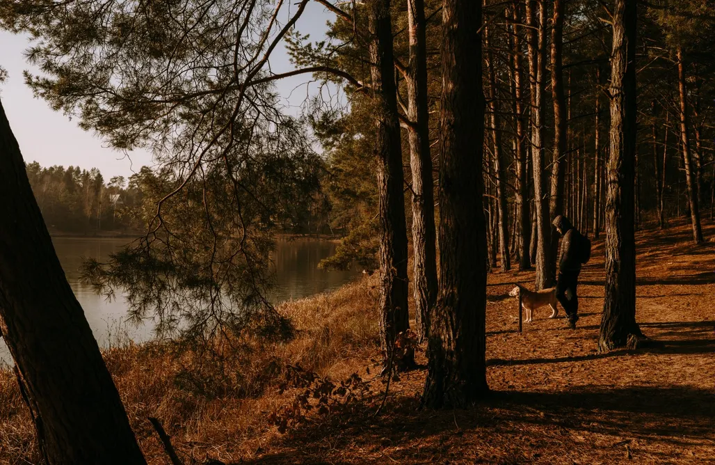 Alloggi AlohaCamp Stacja Marylin Magenta 1