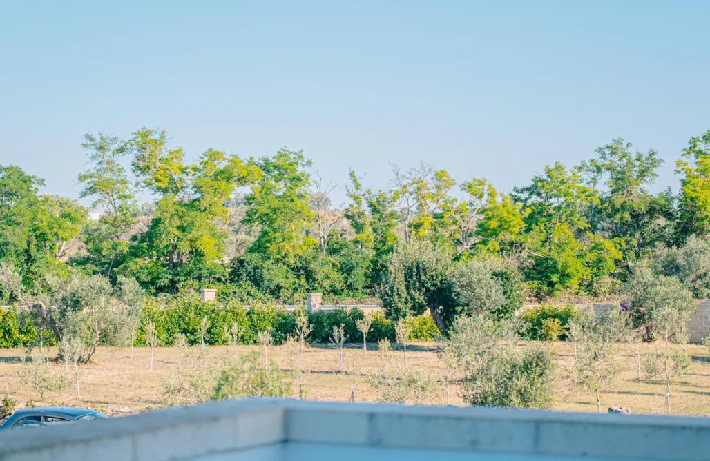 Alloggio AlohaCamp Agriturismo Tenuta Arbanoa 4