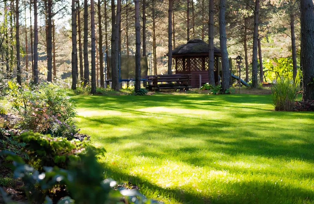 Domki Z Balią Willa Leśna Strzecha 1