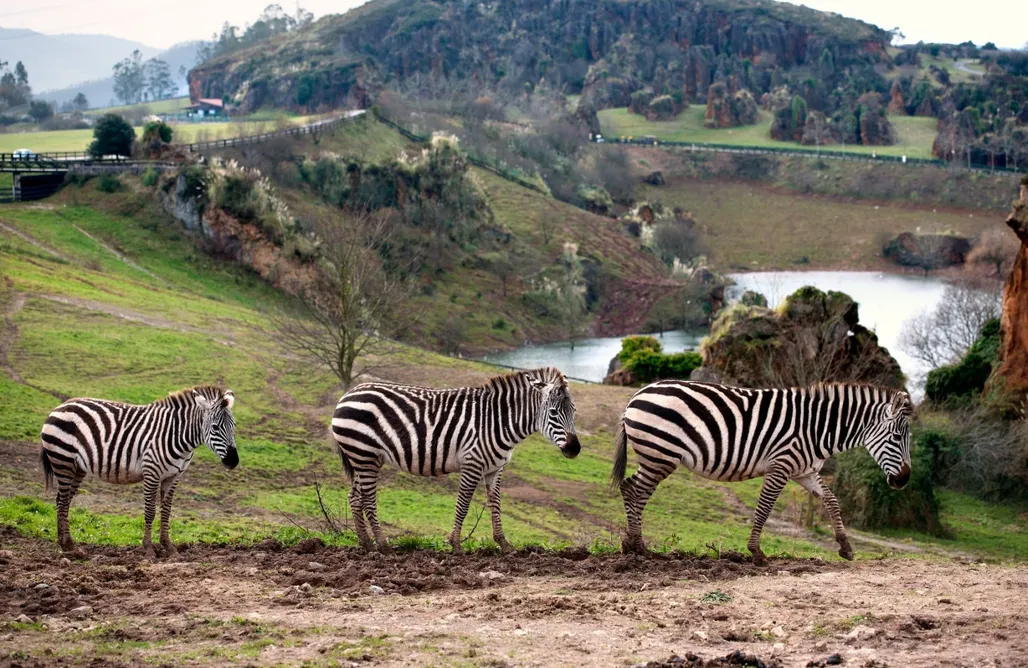 alojamientos AlohaCamp Casa Santa Ana 1