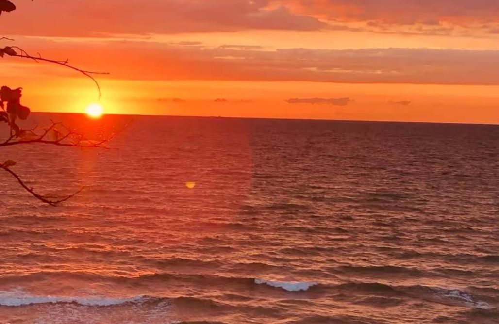 AlohaCamp accommodation Wolkennest - Baumhaus 1