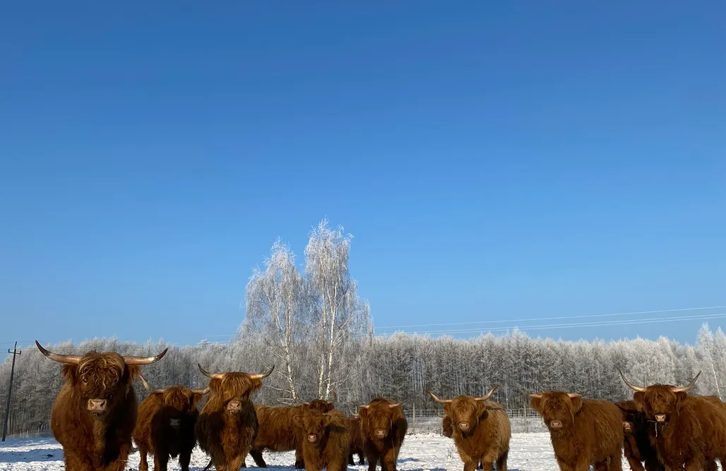 Hébergement AlohaCamp Farma Leśna 1