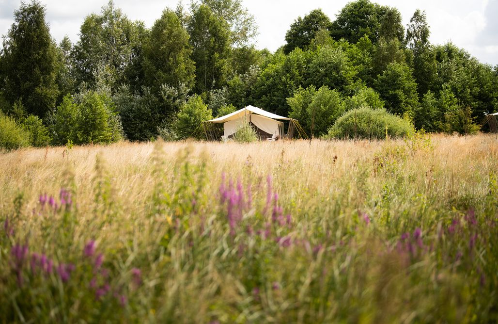AlohaCamp accommodation Bush Camp 4