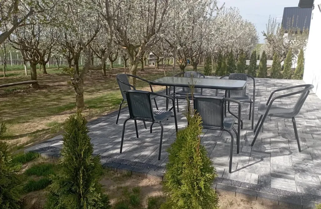 Agroturystyka Zwierzyniec Świętokrzyska Winnica Knapów 1