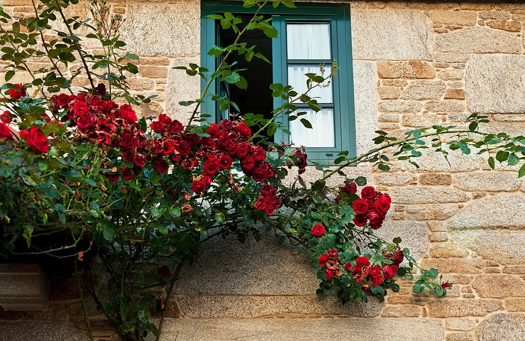 alojamientos AlohaCamp Casa Axouxere 3