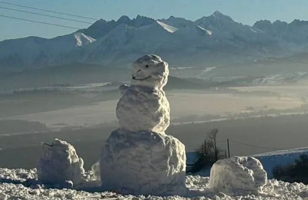 AlohaCamp Willa Hubertówka 1