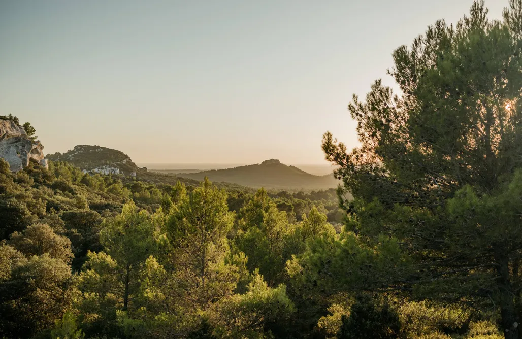 Alloggi AlohaCamp Pépiite Terre de Provence - Lodge Nature & Spa 5
