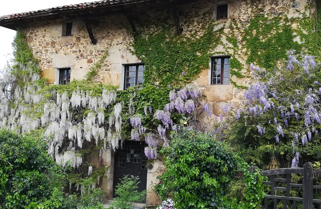 Glamping Pais Vasco Artiñano Etxea 2