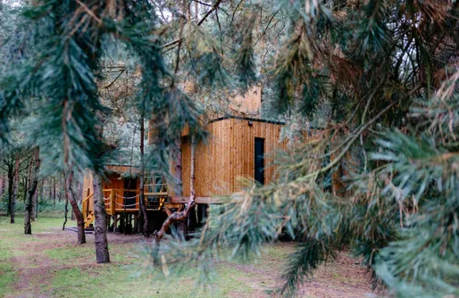 Zdjęcie obiektu Zakochani w lesie. Prywatne SPA- domek na drzewie