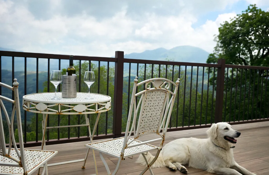 AlohaCamp Vacas con encanto / Arcadia 1