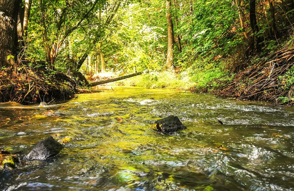 noclegi AlohaCamp Dom Lawendowy w Winnicy nad Źródłem 5