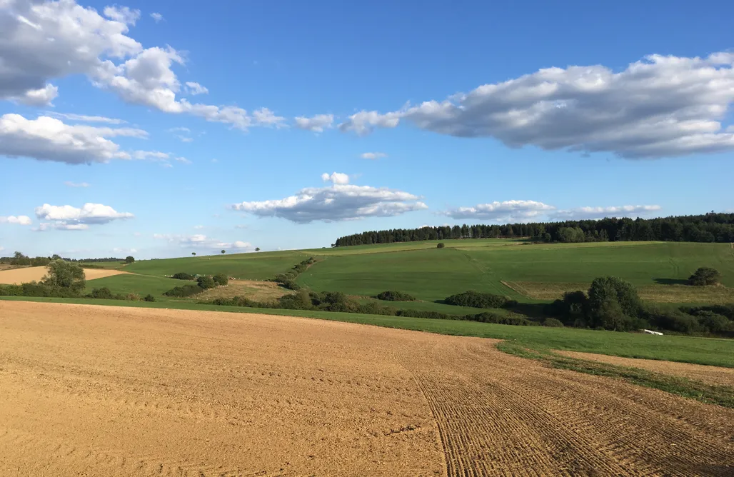 Unterkunft AlohaCamp Eifelcottage Zaunkönig 5