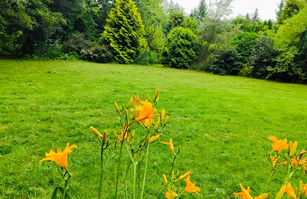 noclegi AlohaCamp Domek Zofiówka 1