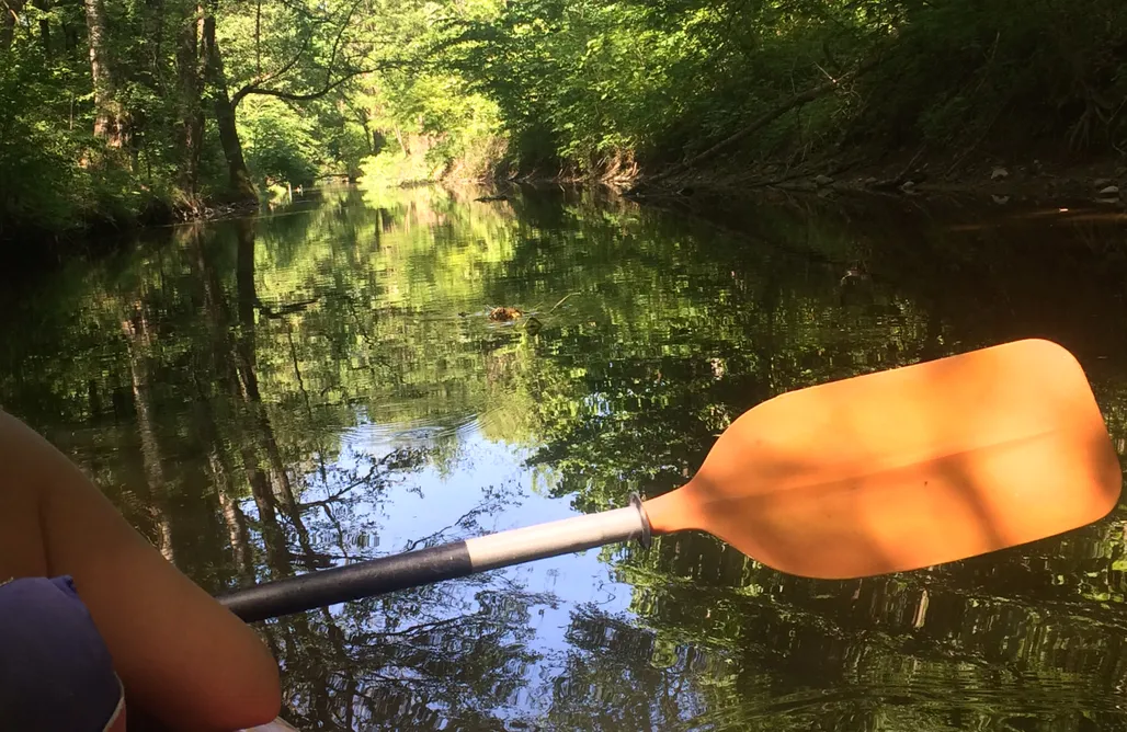 noclegi AlohaCamp Dom pod skrzydłami  1