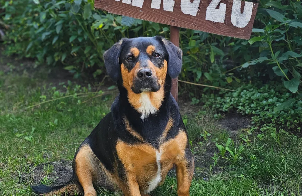 noclegi AlohaCamp Ranczo Przyłęk 4