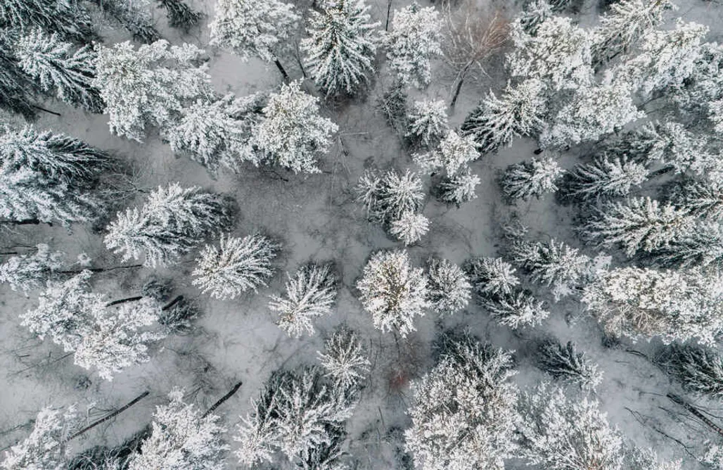 noclegi AlohaCamp oto.tinyhouse 1