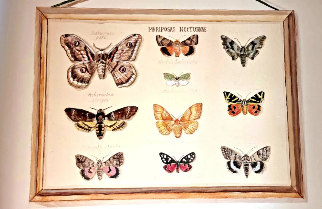 AlohaCamp Apartamento de dos dormitorios "Natura" 4