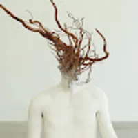 Adrien usuario