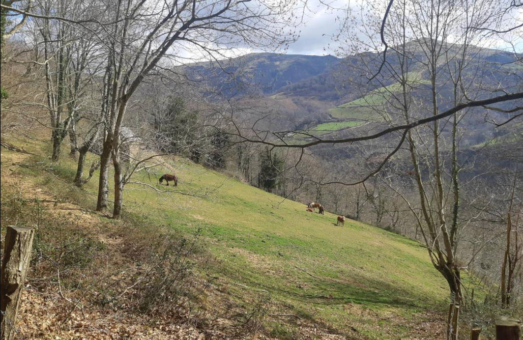 Glamping Navarra Retiro Escondido Toki Ona 1