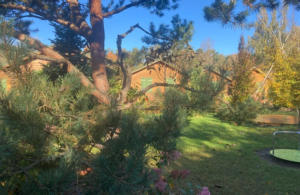 Domki w Lesie Słoneczna Polana 2