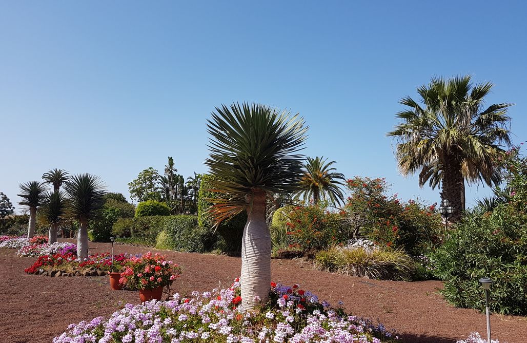 AlohaCamp Picacho apartment A 1