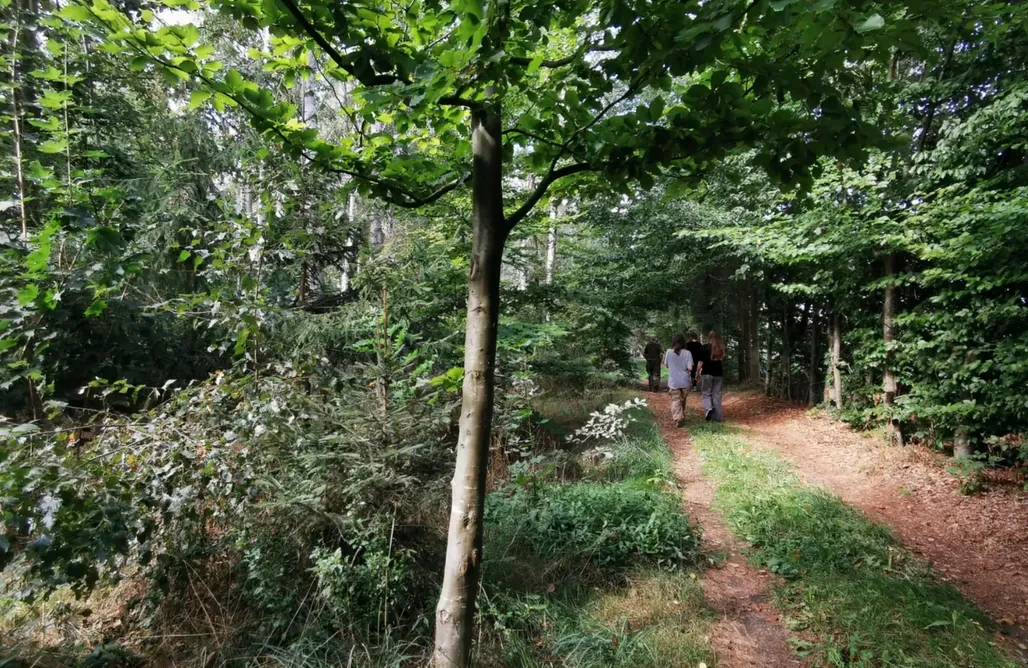alojamientos AlohaCamp Chata Państwa Chochlików 5
