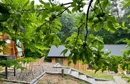 Imagen de Rogaty Domek przy Bobrowisku 