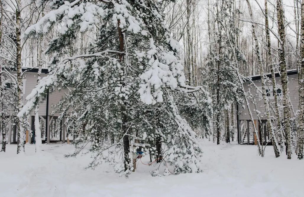 AlohaCamp accommodation Domki w drzewach Siedlisko Polanka 1