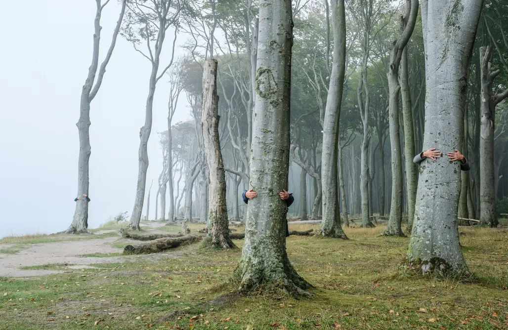 ubytování AlohaCamp Kunterbunthof – Tiny House unterm Walnussbaum (1 - 2 Pers.) 1