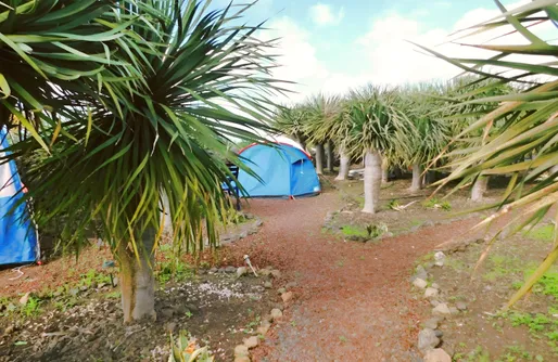 Imagen de Sitio para tiendas - Agrocamping Invernaderito Tejina