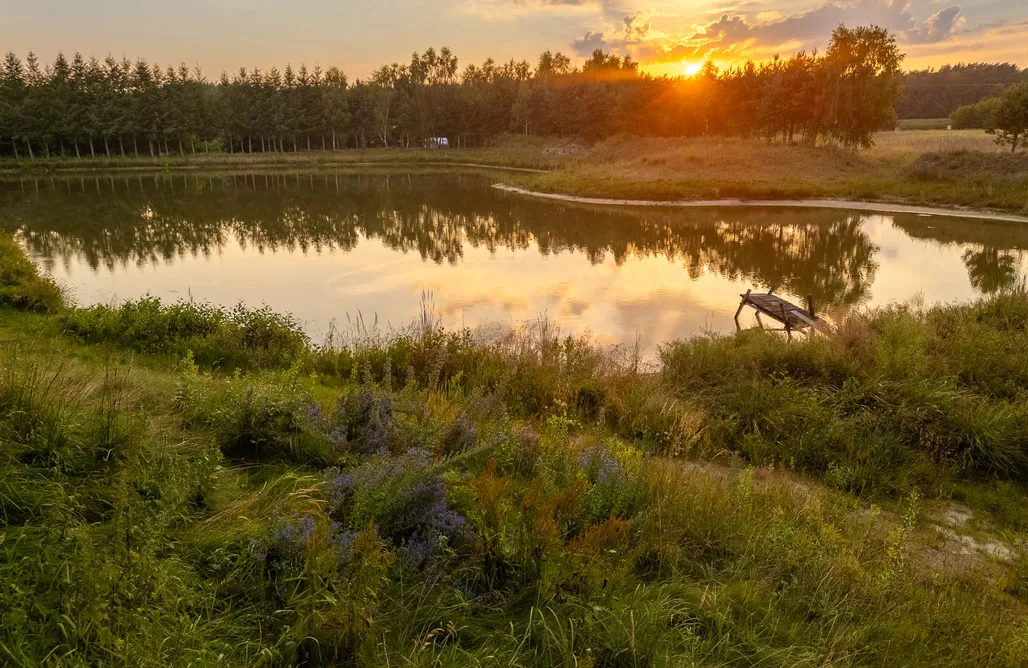 Camping Miejsce kamperowe - Zacisze pod Zającem 3