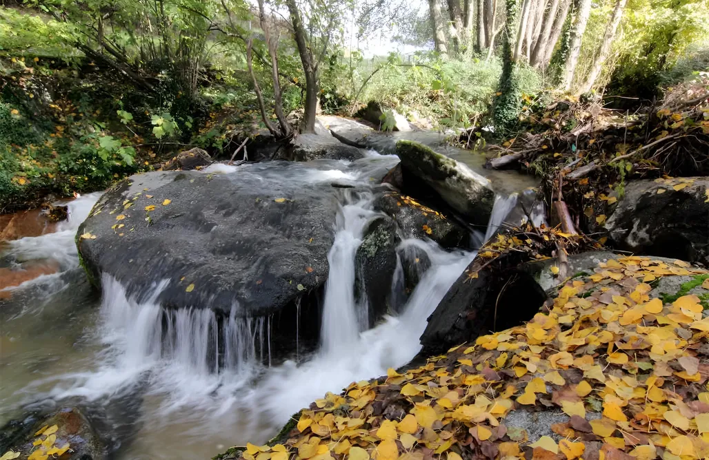 alojamientos AlohaCamp Cabaña Druir 3