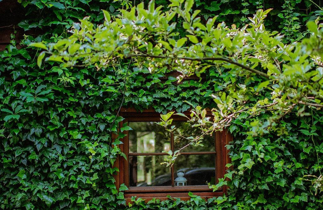 Będomin noclegi Domek Kartowo 3