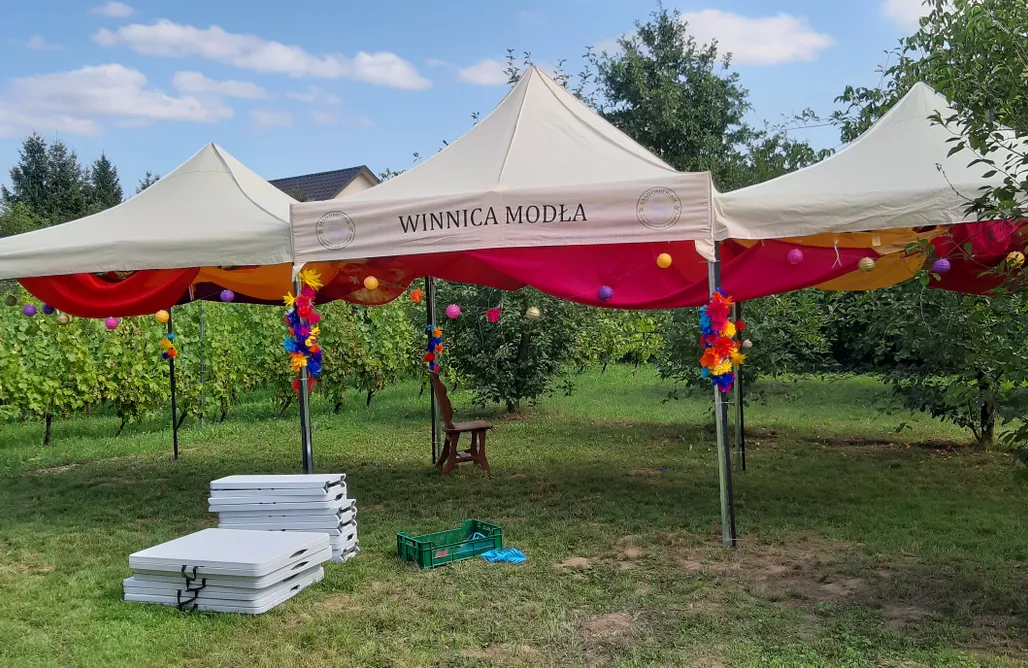 Pole namiotowe Karpaty Miejsce kamperowe - Winnica Modła 1