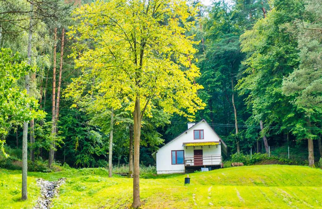 noclegi AlohaCamp Domek pod lasem z widokiem na rzekę San i góry 2