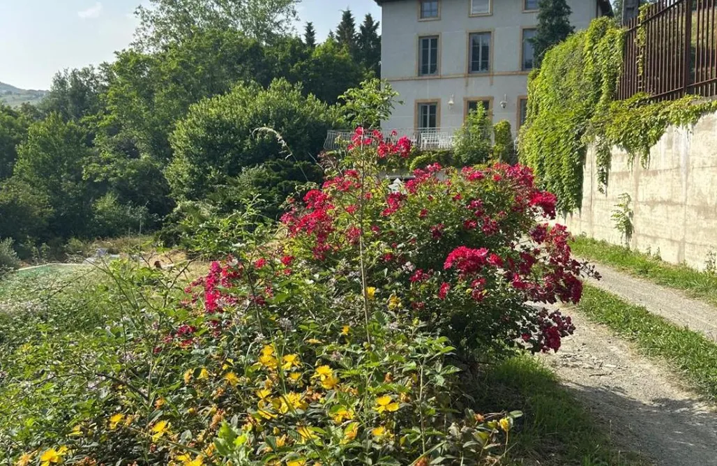 Hébergement AlohaCamp Au Songe de l'Eau 4