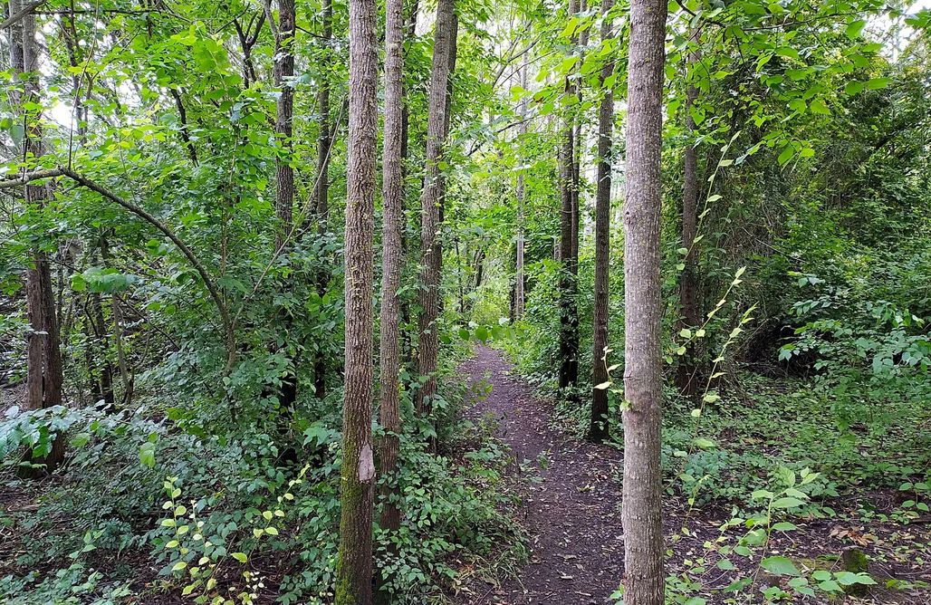 alojamientos AlohaCamp Glamping Tabla de la Yedra 1