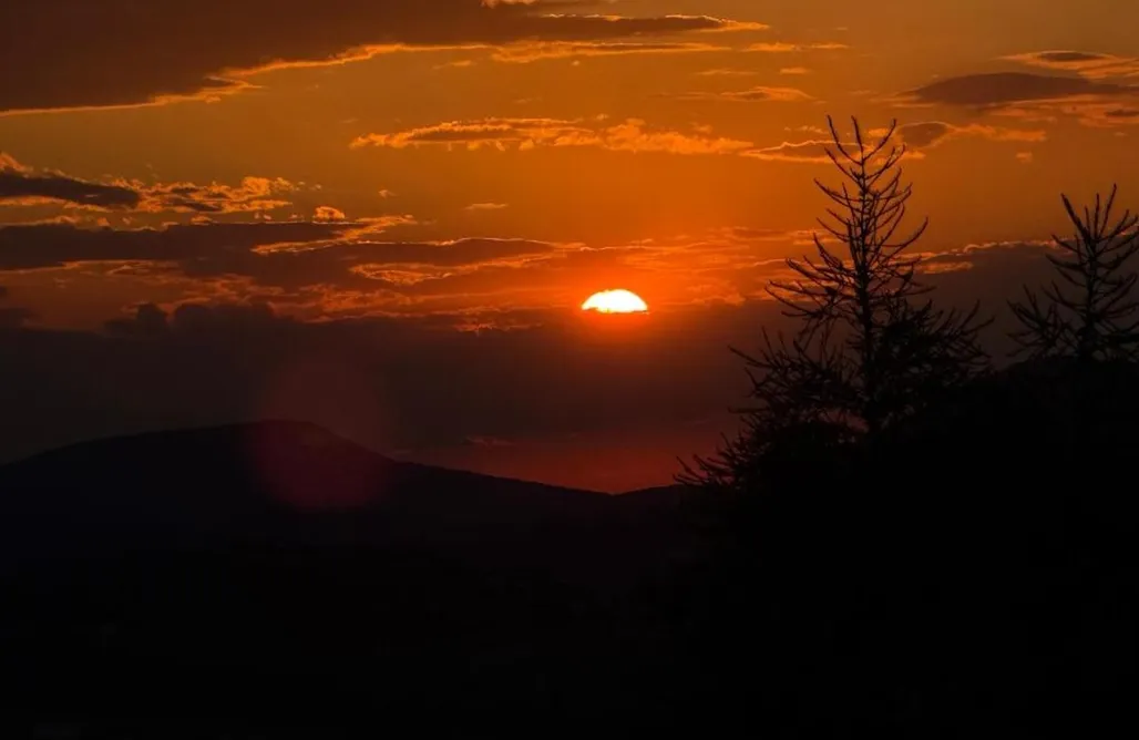 With Sauna Wzgórze w Cieniu Lasu 1