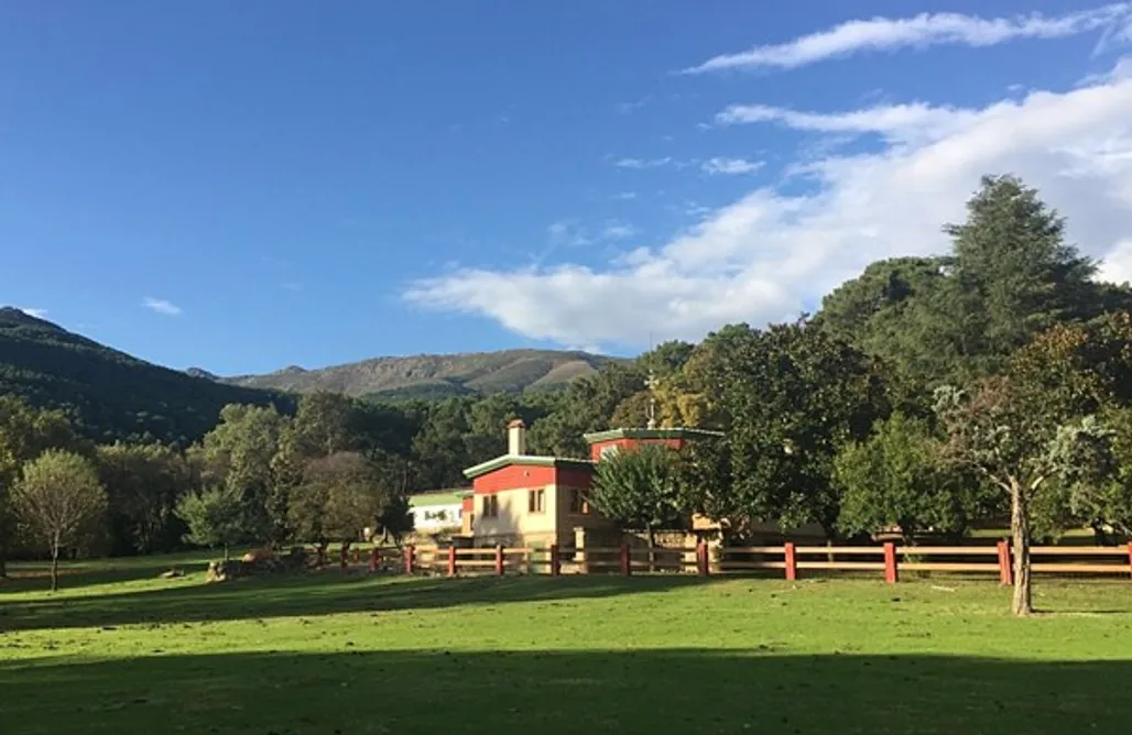 AlohaCamp accommodation El Bosque Secreto 2