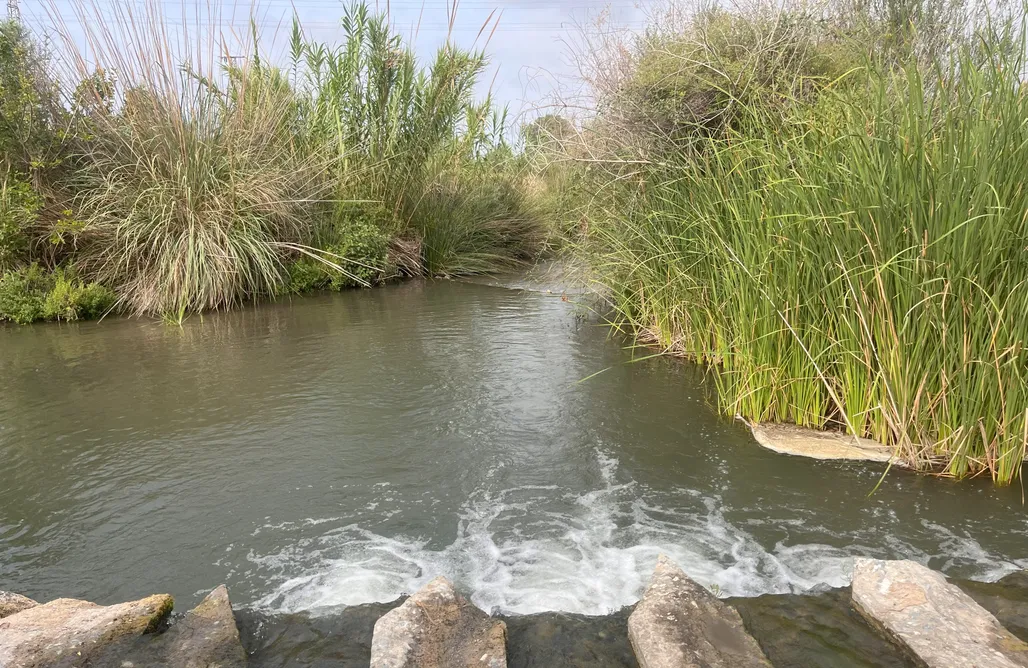 AlohaCamp Villa Verzul 1