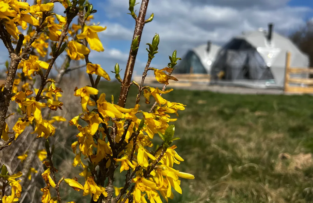 Charbielin noclegi Glamping Sfera Marzeń 1
