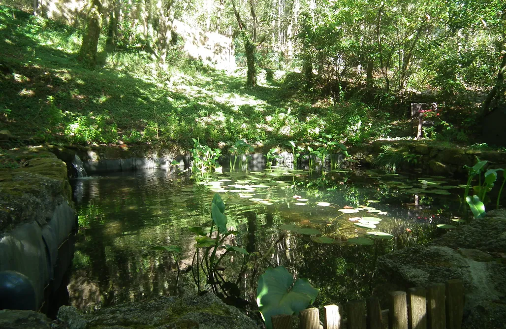 alojamientos AlohaCamp Domo Geodésico en Finca Remanso do Manantial 1