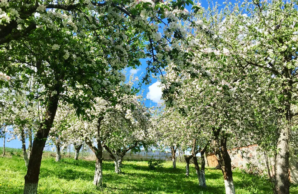 noclegi AlohaCamp Dom w Sercu Mazur 4