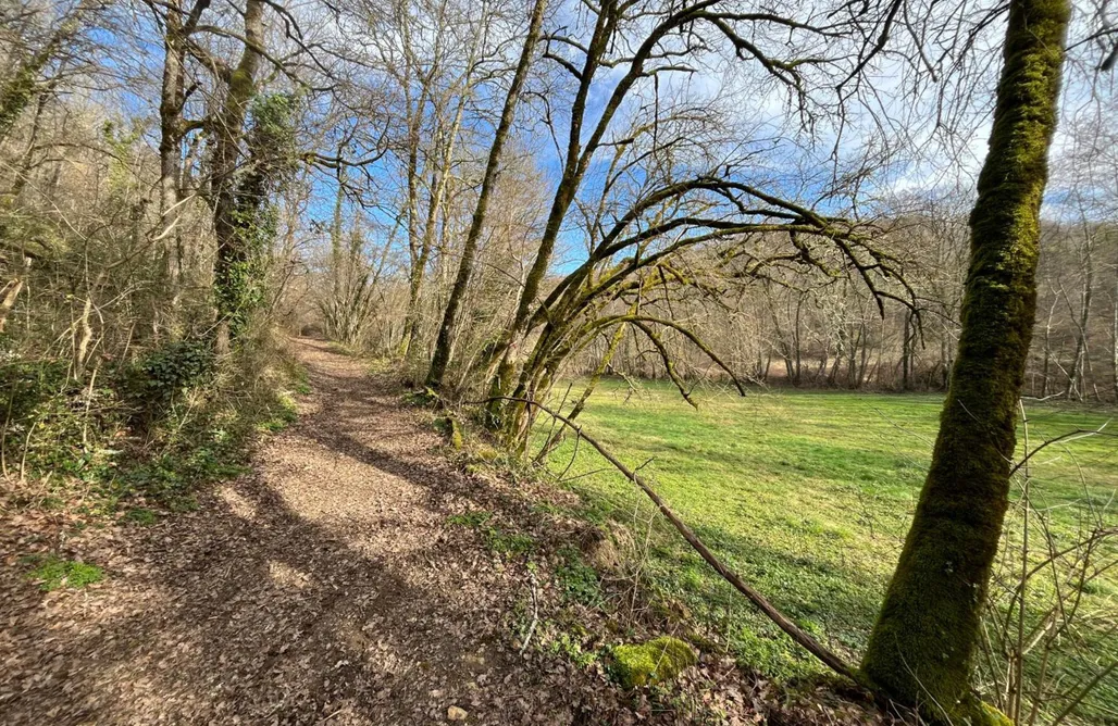 Hébergement AlohaCamp Hameau des laurières 1