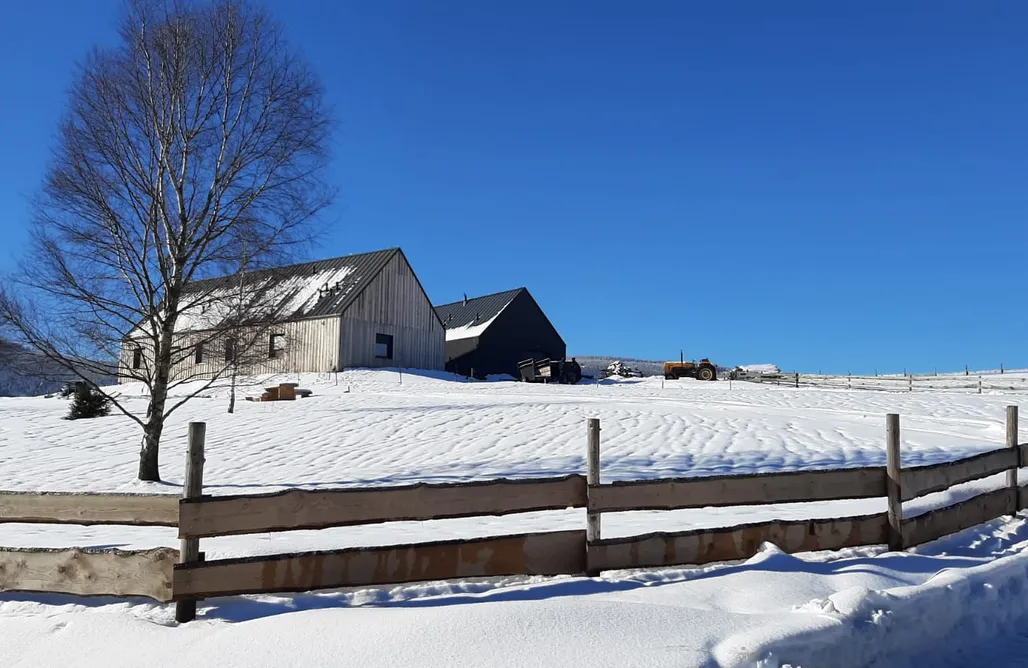 Agroturystyka Nad Morzem 🌊 Wzgórze Owiec Sheep Hill 3