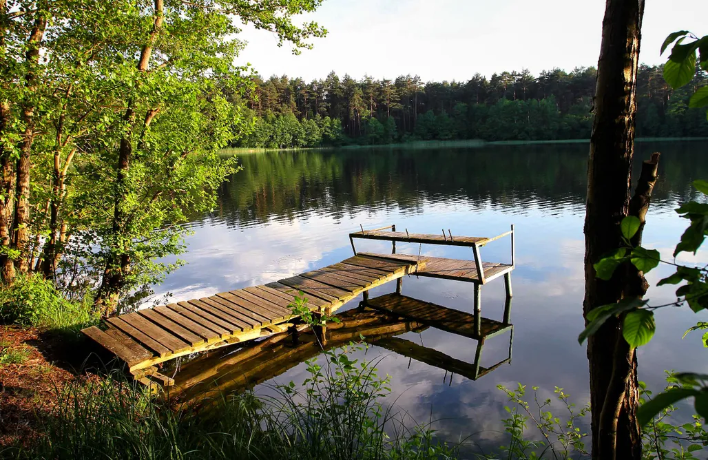 noclegi AlohaCamp Miejsce kamperowe i namiotowe - Zew Natury 2